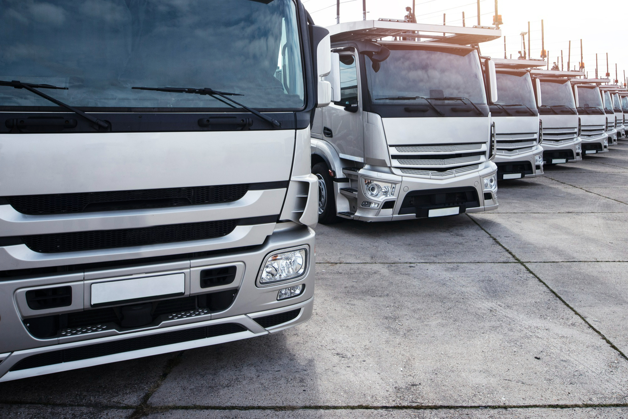 group-trucks-parked-row